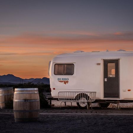 Tarantula Ranch Campground & Vineyard Near Death Valley National Park Amargosa Valley Exterior foto