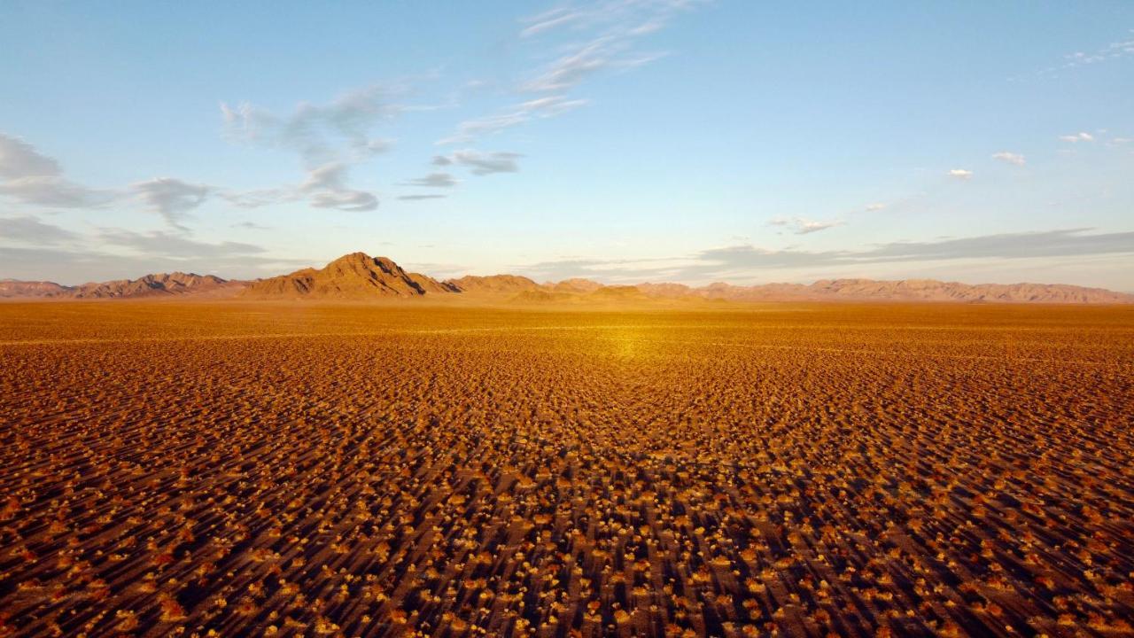 Tarantula Ranch Campground & Vineyard Near Death Valley National Park Amargosa Valley Exterior foto