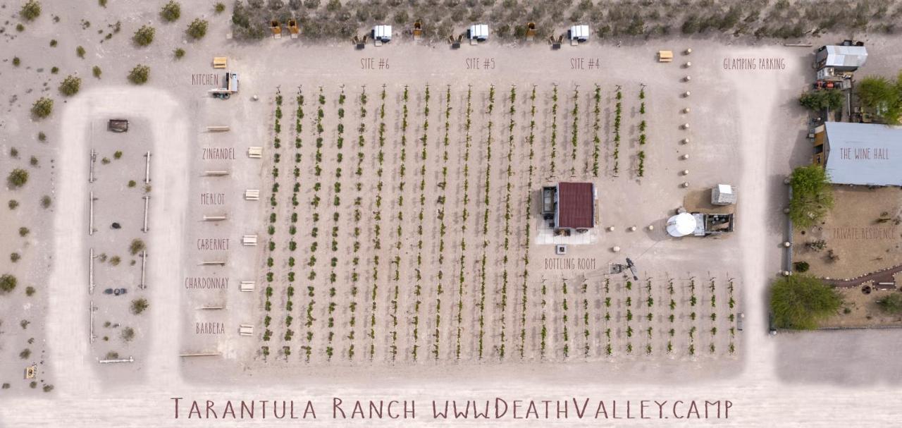 Tarantula Ranch Campground & Vineyard Near Death Valley National Park Amargosa Valley Exterior foto